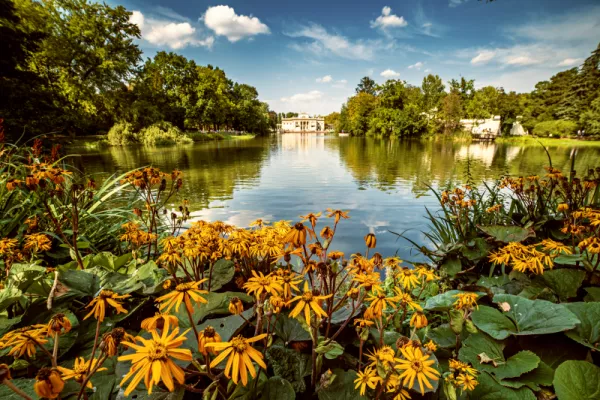 Lazienki Park or Royal Baths - the largest park in Warsaw with a beautiful lake and rudebecia flowers